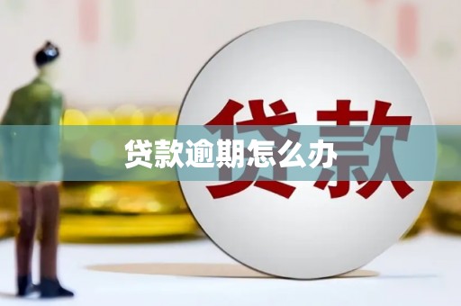 蔡甸贷款逾期怎么办