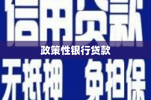 蔡甸政策性银行贷款
