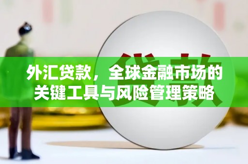 蔡甸外汇贷款，全球金融市场的关键工具与风险管理策略