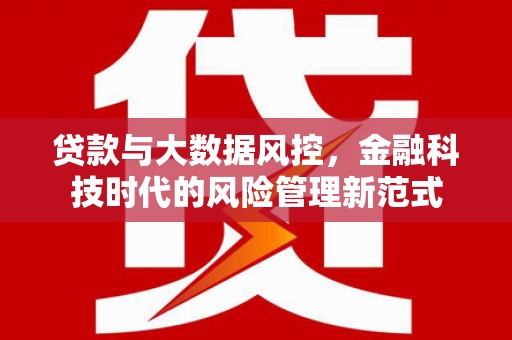 蔡甸贷款与大数据风控，金融科技时代的风险管理新范式
