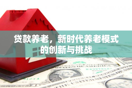 蔡甸贷款养老，新时代养老模式的创新与挑战