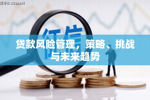 蔡甸贷款风险管理，策略、挑战与未来趋势