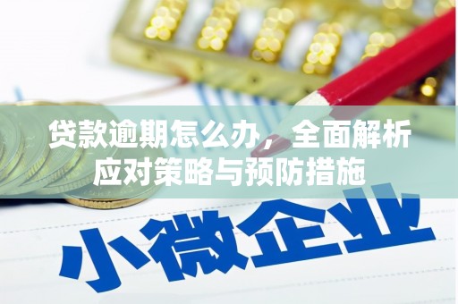 蔡甸贷款逾期怎么办，全面解析应对策略与预防措施