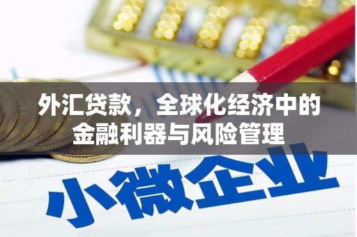蔡甸外汇贷款，全球化经济中的金融利器与风险管理