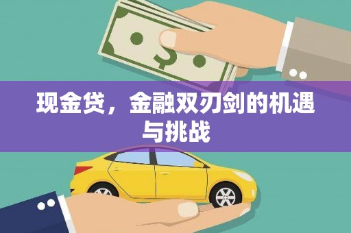 蔡甸现金贷，金融双刃剑的机遇与挑战