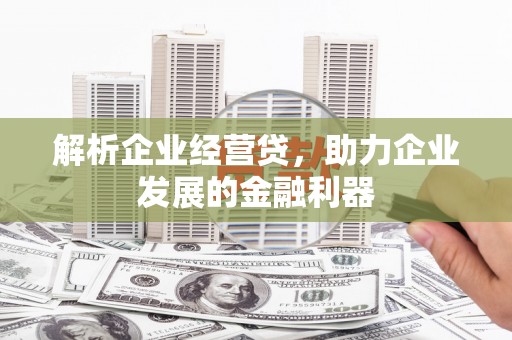 蔡甸解析企业经营贷，助力企业发展的金融利器