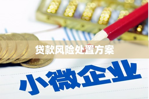蔡甸贷款风险处置方案