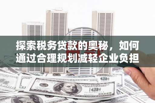 蔡甸探索税务贷款的奥秘，如何通过合理规划减轻企业负担