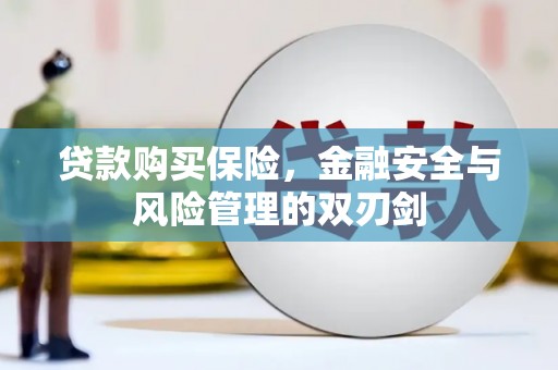 蔡甸贷款购买保险，金融安全与风险管理的双刃剑