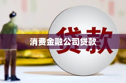 蔡甸消费金融公司贷款