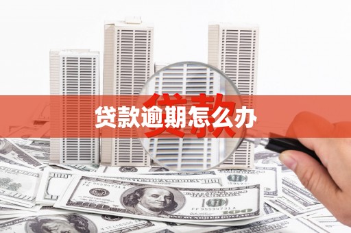 蔡甸贷款逾期怎么办