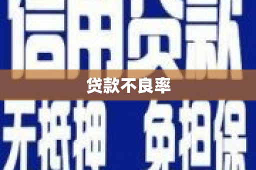 蔡甸贷款不良率