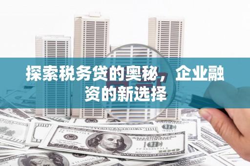 蔡甸探索税务贷的奥秘，企业融资的新选择