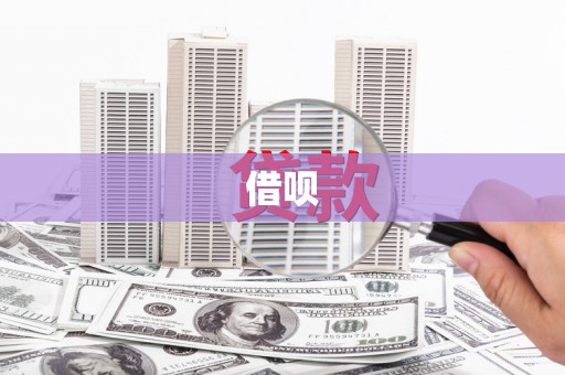 蔡甸借呗