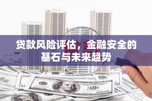 蔡甸贷款风险评估，金融安全的基石与未来趋势