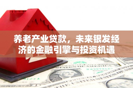 蔡甸养老产业贷款，未来银发经济的金融引擎与投资机遇
