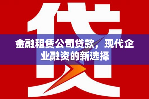 蔡甸金融租赁公司贷款，现代企业融资的新选择