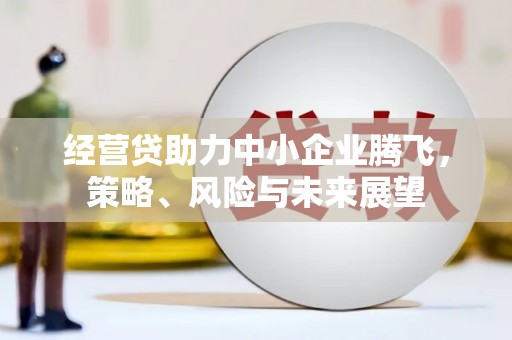 蔡甸经营贷助力中小企业腾飞，策略、风险与未来展望