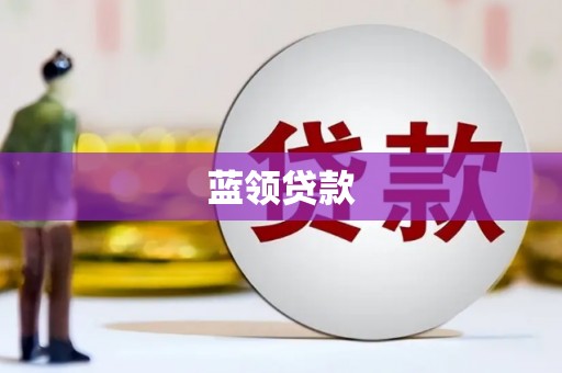 蔡甸蓝领贷款
