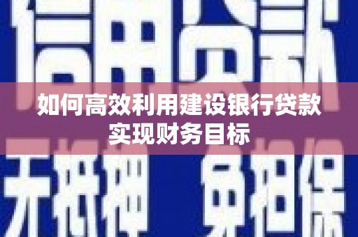 蔡甸如何高效利用建设银行贷款实现财务目标