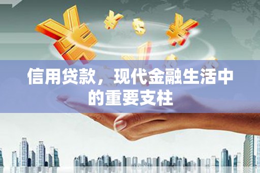 蔡甸信用贷款，现代金融生活中的重要支柱