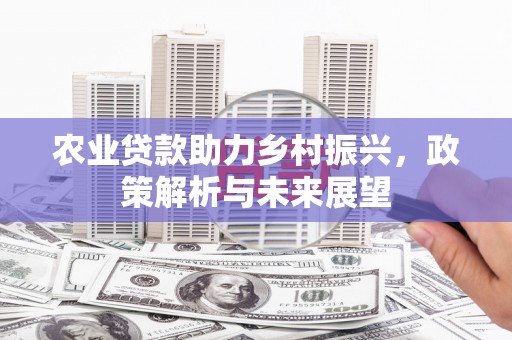 蔡甸农业贷款助力乡村振兴，政策解析与未来展望