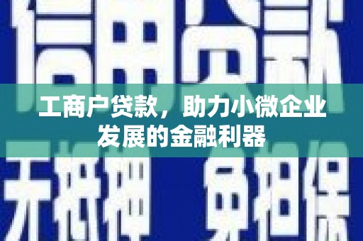 蔡甸工商户贷款，助力小微企业发展的金融利器
