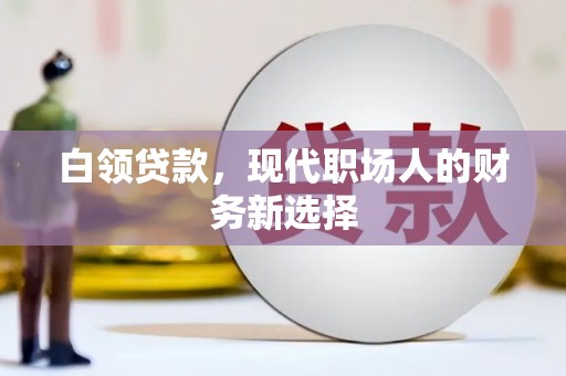 蔡甸白领贷款，现代职场人的财务新选择