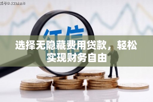 蔡甸选择无隐藏费用贷款，轻松实现财务自由