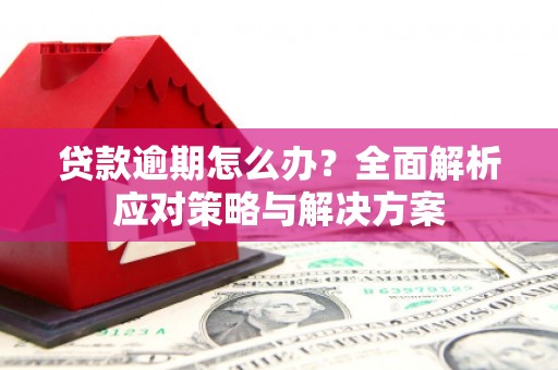 蔡甸贷款逾期怎么办？全面解析应对策略与解决方案