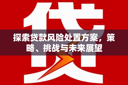 蔡甸探索贷款风险处置方案，策略、挑战与未来展望