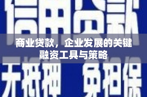 蔡甸商业贷款，企业发展的关键融资工具与策略