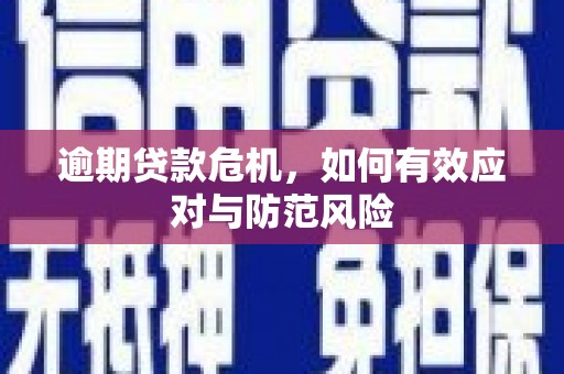 蔡甸逾期贷款危机，如何有效应对与防范风险