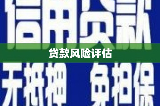 蔡甸贷款风险评估