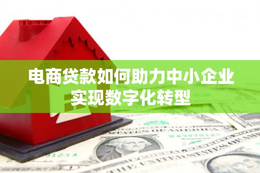 蔡甸电商贷款如何助力中小企业实现数字化转型
