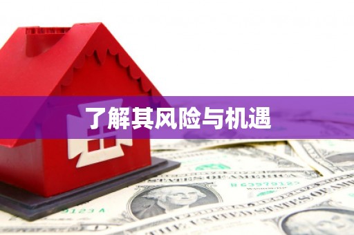 蔡甸了解其风险与机遇