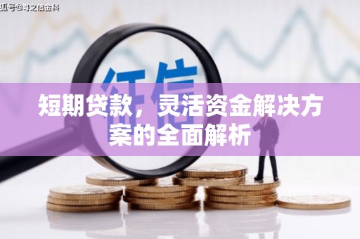 蔡甸短期贷款，灵活资金解决方案的全面解析