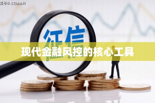 蔡甸现代金融风控的核心工具