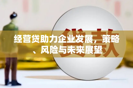 蔡甸经营贷助力企业发展，策略、风险与未来展望