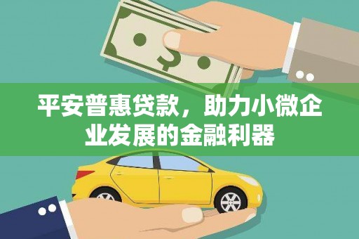 蔡甸平安普惠贷款，助力小微企业发展的金融利器