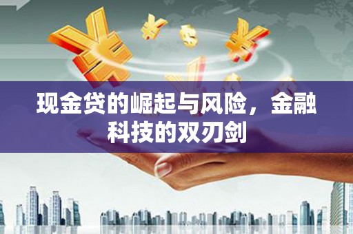 蔡甸现金贷的崛起与风险，金融科技的双刃剑