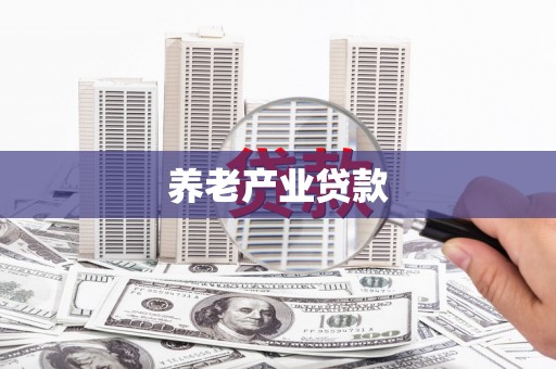 蔡甸养老产业贷款