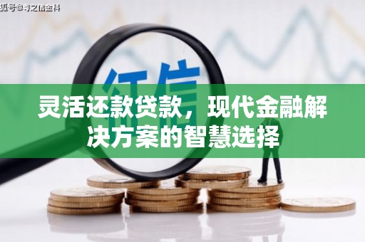 蔡甸灵活还款贷款，现代金融解决方案的智慧选择