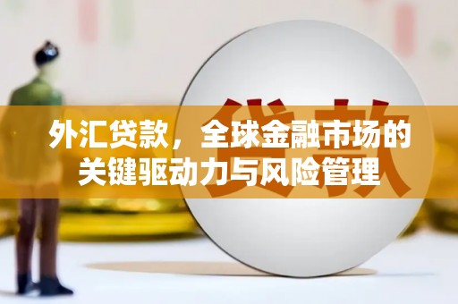蔡甸外汇贷款，全球金融市场的关键驱动力与风险管理