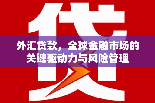 蔡甸外汇贷款，全球金融市场的关键驱动力与风险管理