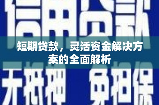 蔡甸短期贷款，灵活资金解决方案的全面解析