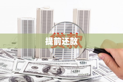 蔡甸提前还款
