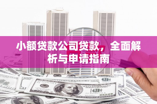 蔡甸小额贷款公司贷款，全面解析与申请指南