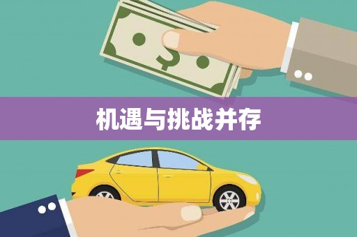 蔡甸机遇与挑战并存