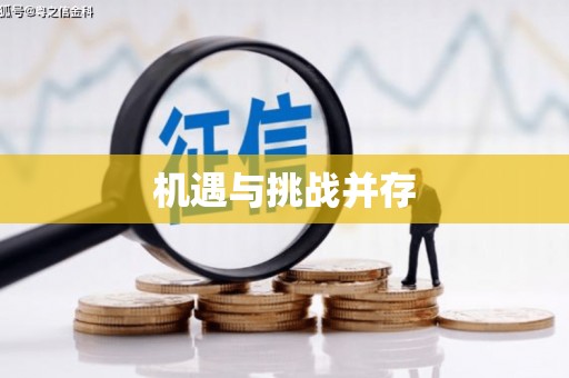 蔡甸机遇与挑战并存